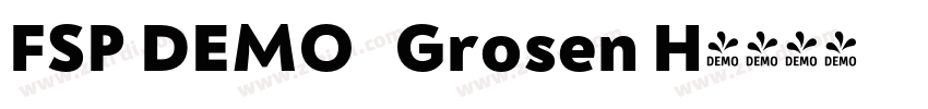 FSP DEMO   Grosen H字体转换